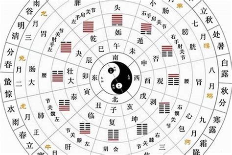 十天干十二地支